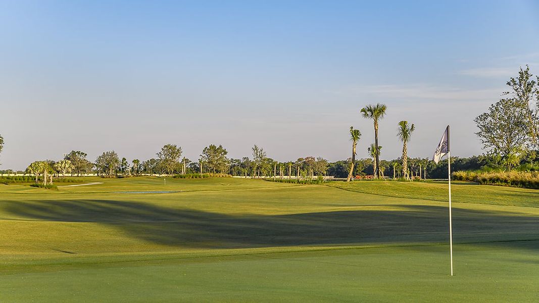 Natural landscape and outdoor views near Esplanade at Azario Lakewood Ranch in Bradenton (Image 103).