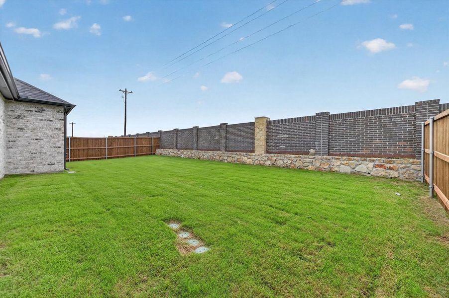 Backyard Backyard