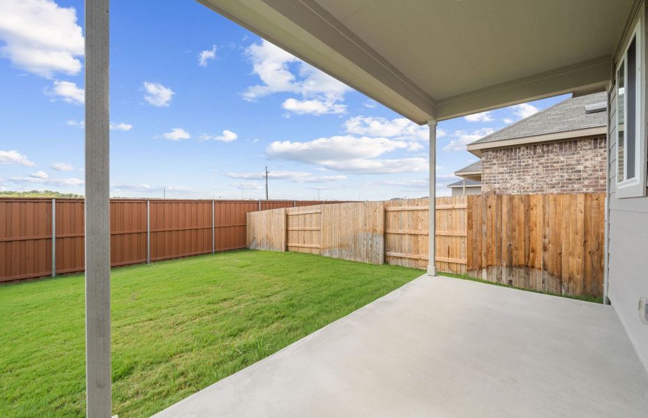 Backyard