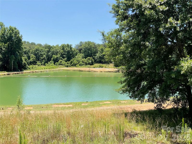 Natural landscape and outdoor views near in Mooresboro (Image 29). Natural landscape and outdoor views near in Mooresboro (Image 29).