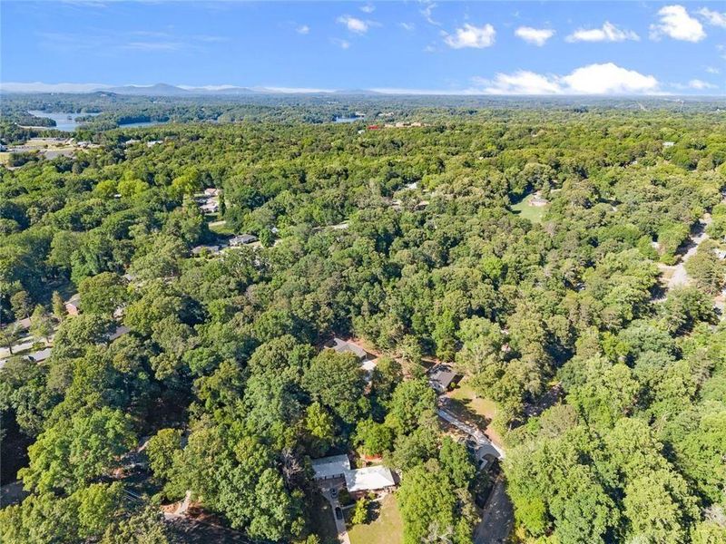 Natural landscape and outdoor views near  in Gainesville (Image 44).