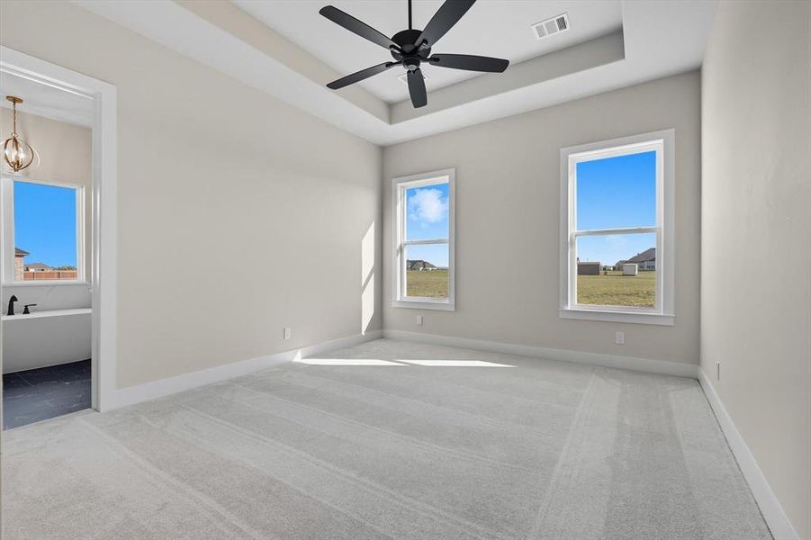 Spacious, unfurnished interior of a new home in , Venus (Image 15). Spacious, unfurnished interior of a new home in , Venus (Image 15).