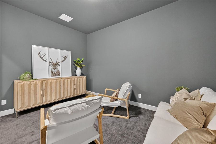 Entertainment Room