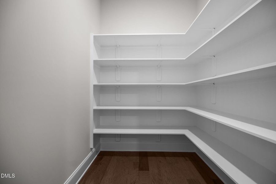 25-web-or-mls-2N6A2977