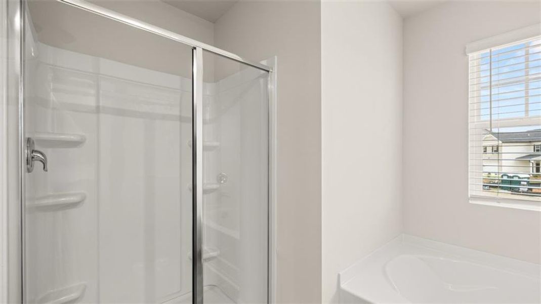 Image 38 of a home in Cedar Ridge - Locust Grove Station.