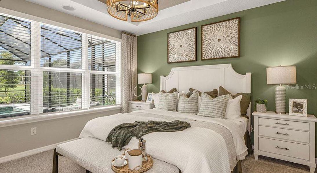 REPRESENTATIVE PHOTOS