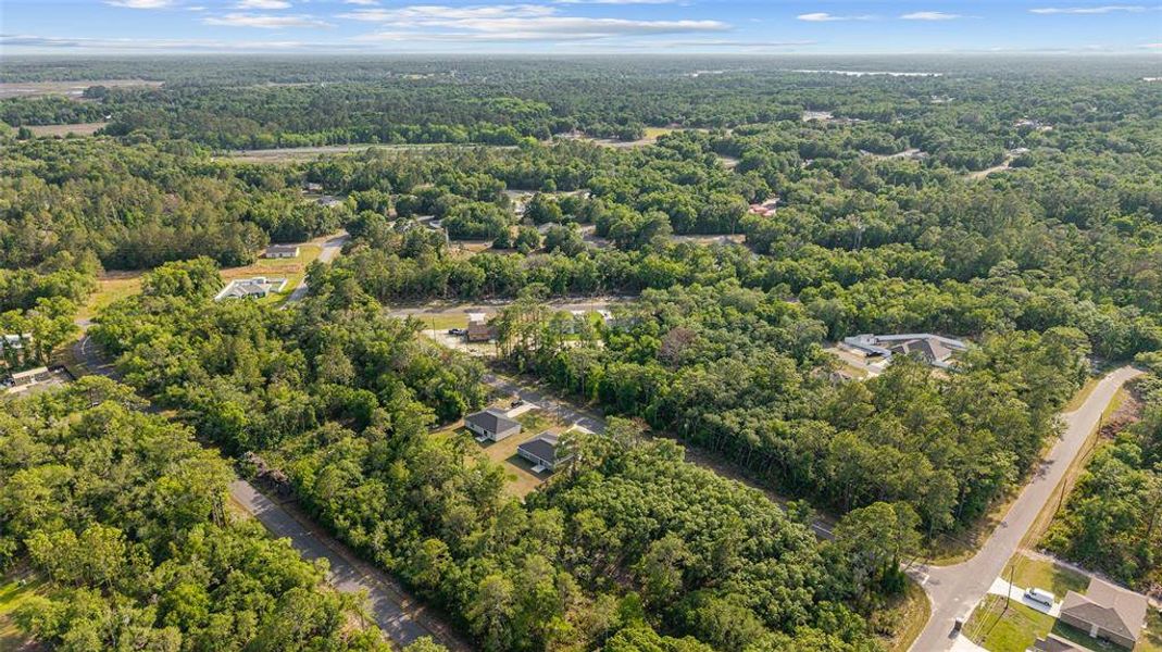 Natural landscape and outdoor views near  in Ocala (Image 35).