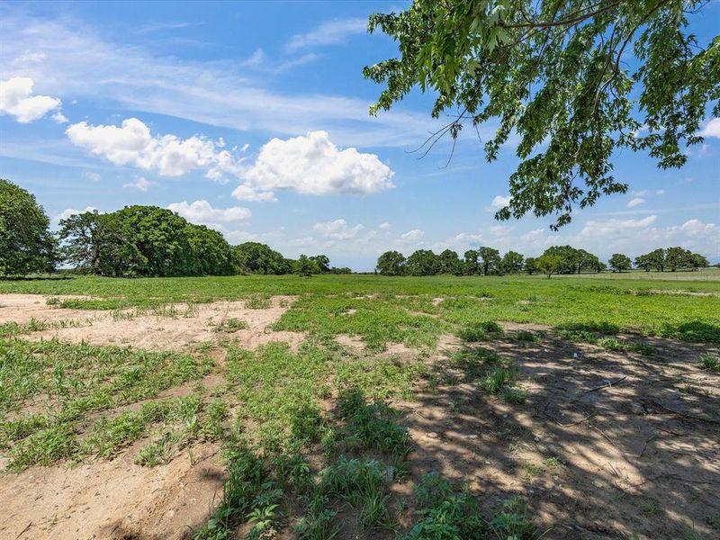 Natural landscape and outdoor views near  in Bowie (Image 35).
