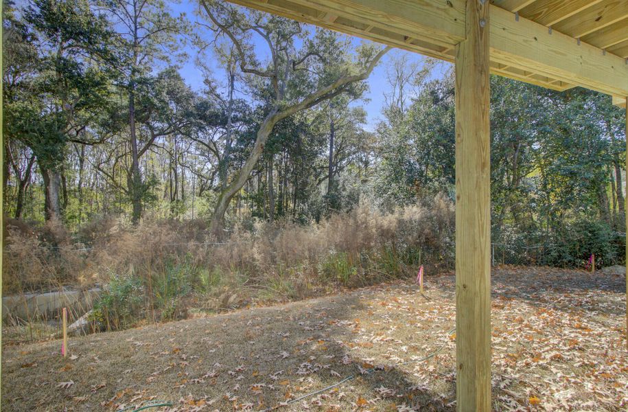 Natural landscape and outdoor views near  in Johns Island (Image 41).