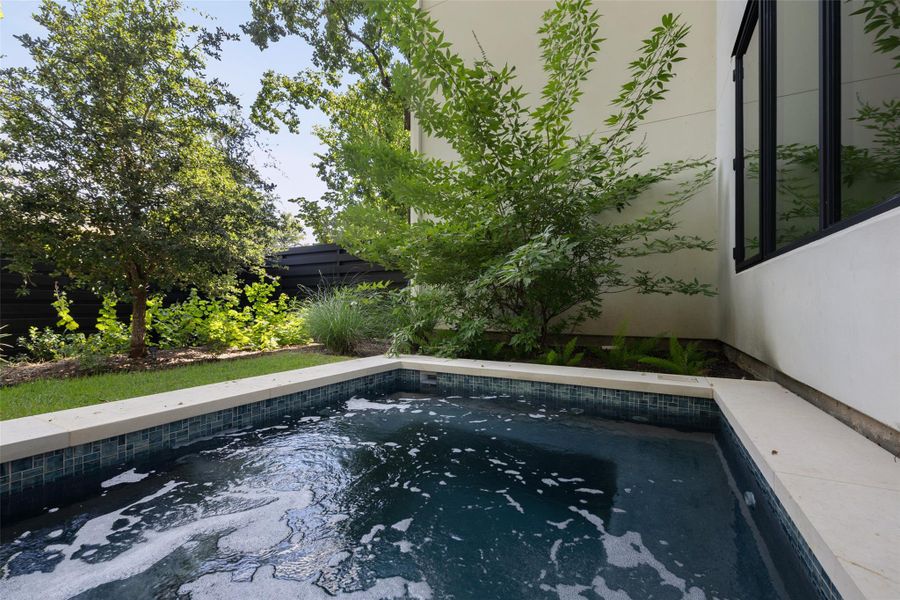 Plunge pool in backyard