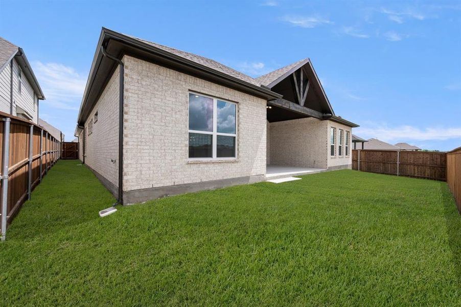 460 Shadowfax- Back-3