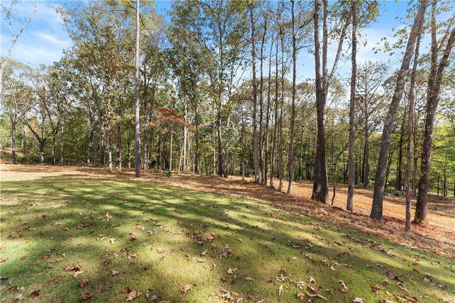 Natural landscape and outdoor views near The Fields of Walnut Creek in Pendergrass (Image 41).