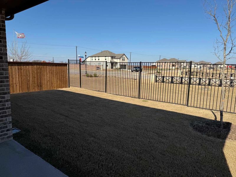 Backyard Construction Progress