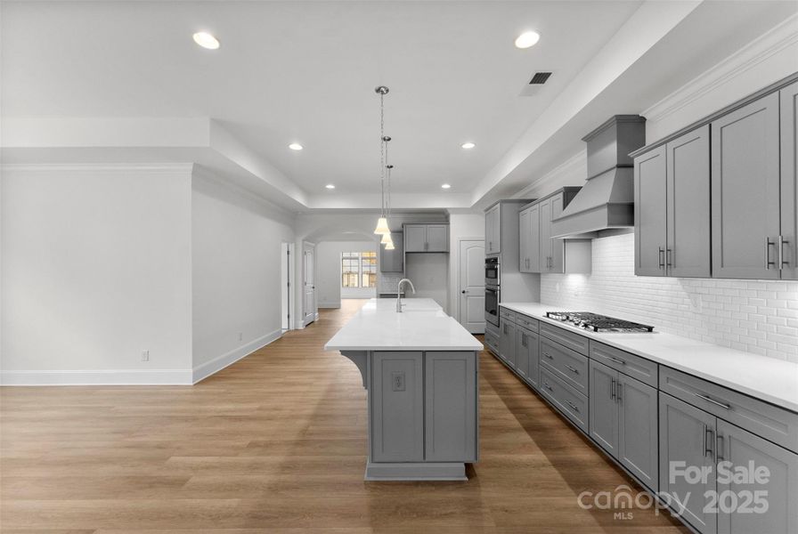 Furnished interior view inside a new home in The Courtyards on New Hope, Gastonia (Image 6).