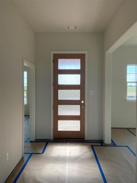 Modern wood-panel front door with five frosted glass lites