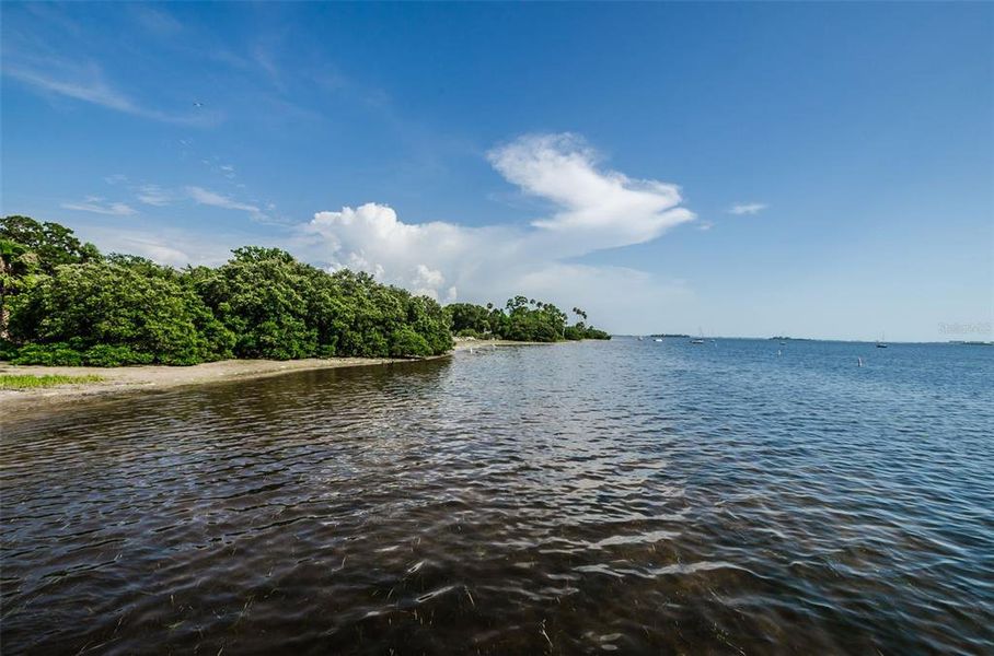 Natural landscape and outdoor views near  in Crystal Beach (Image 38).