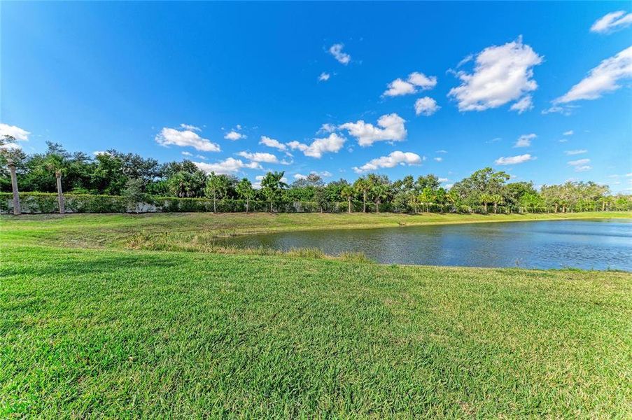 Natural landscape and outdoor views near  in Bradenton (Image 53).