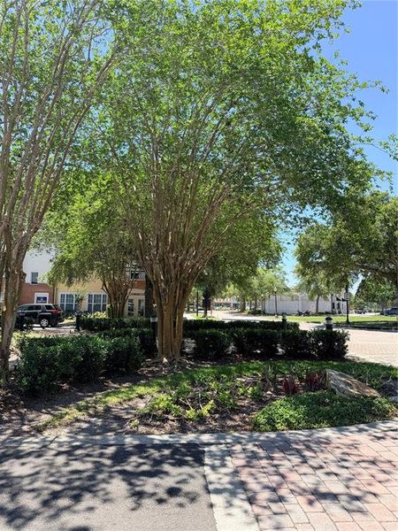 Natural landscape and outdoor views near  in Winter Springs (Image 43).