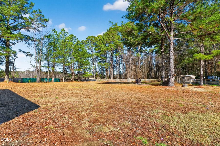 67-web-or-mls-P1553901