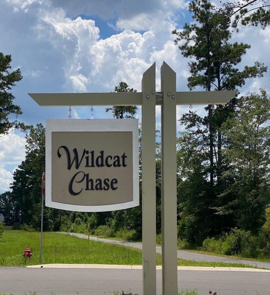 Image 33 of a home in Wildcat Chase.