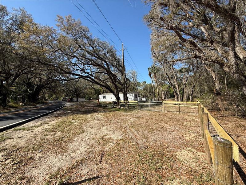 Natural landscape and outdoor views near  in Ocklawaha (Image 8).