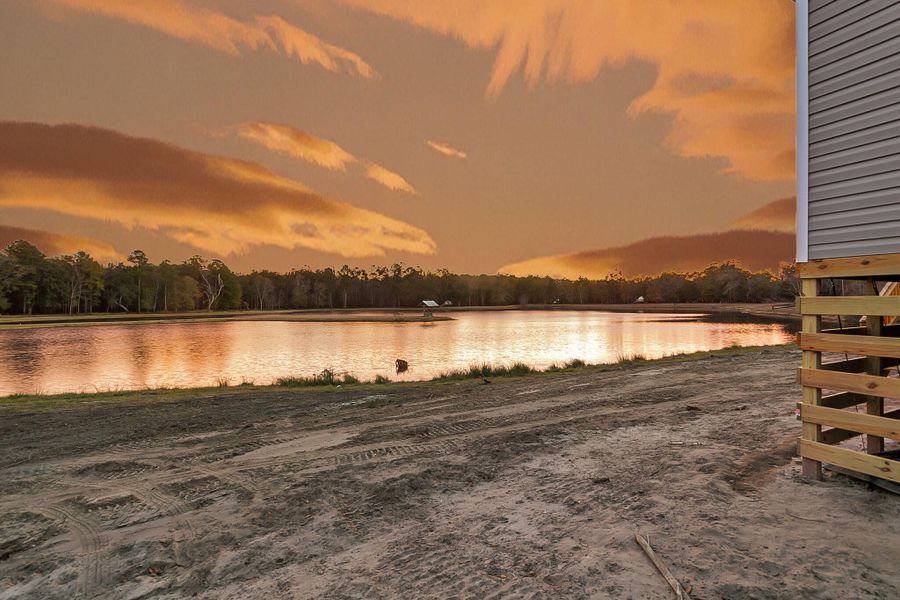 Natural landscape and outdoor views near  in Dorchester (Image 7).