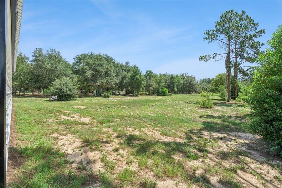Natural landscape and outdoor views near in Groveland (Image 33). Natural landscape and outdoor views near in Groveland (Image 33).