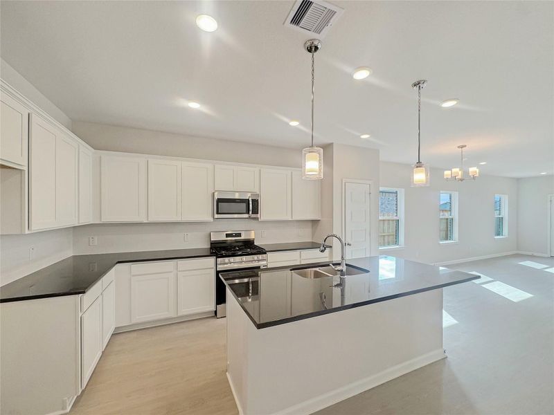 The Piedmont- Kitchen. The Piedmont- Kitchen.