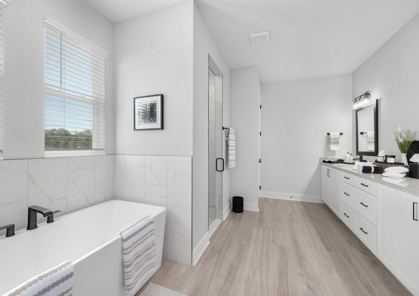 Spa-inspired master bath.