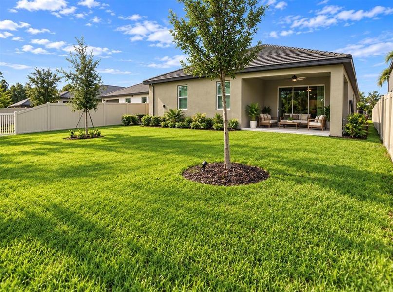 Exterior details and patio area of a home in Angeline Active Adult, Land O' Lakes (Image 29).