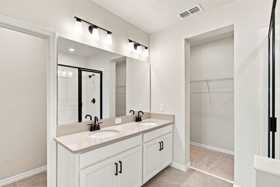Owner's Bath