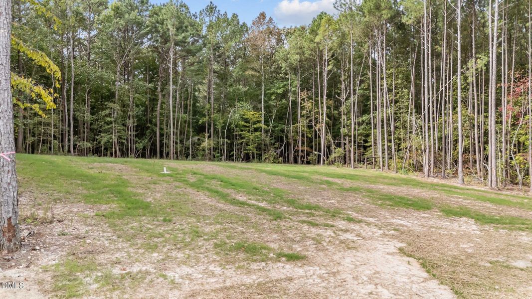 10-web-or-mls-DJI_20250916102025_0384_D