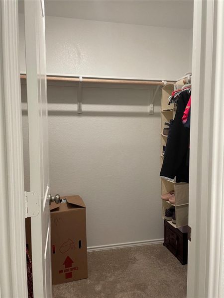 Spacious closet featuring dark colored carpet