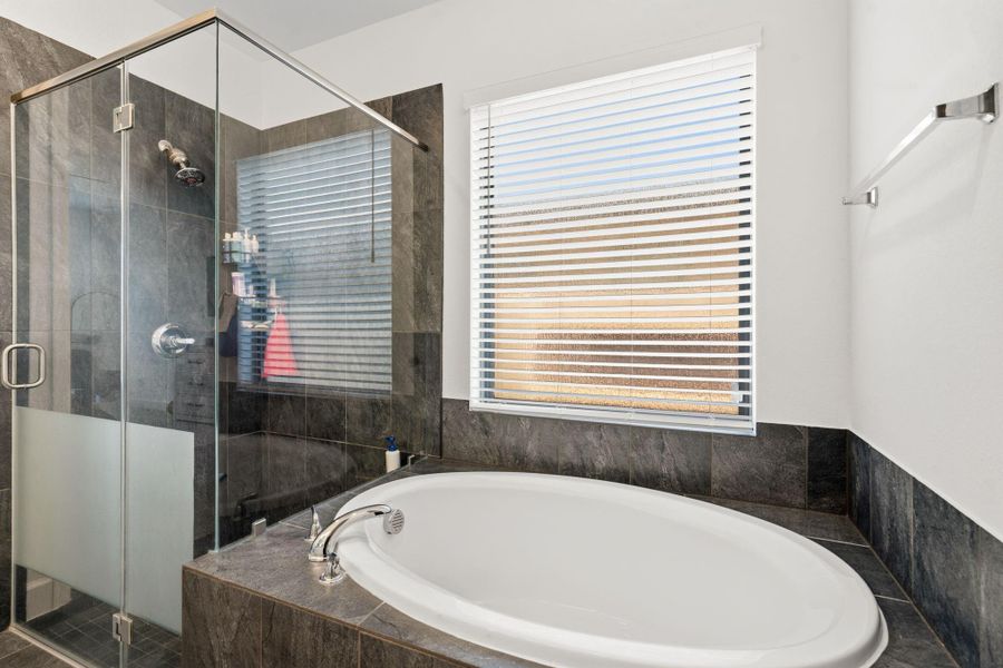 Spa-inspired primary bath featuring a soaking tub and elegant finishes