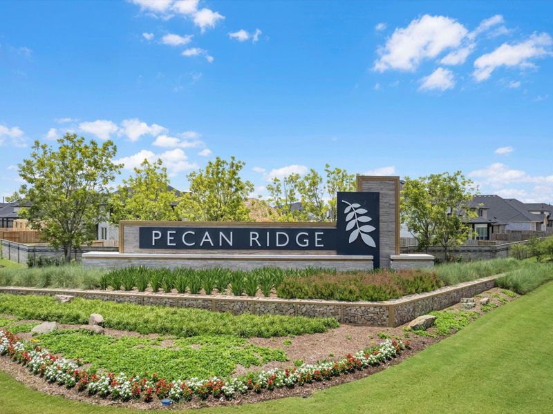 Image 6 of a home in The Arbor At Pecan Ridge. Image 6 of a home in The Arbor At Pecan Ridge.