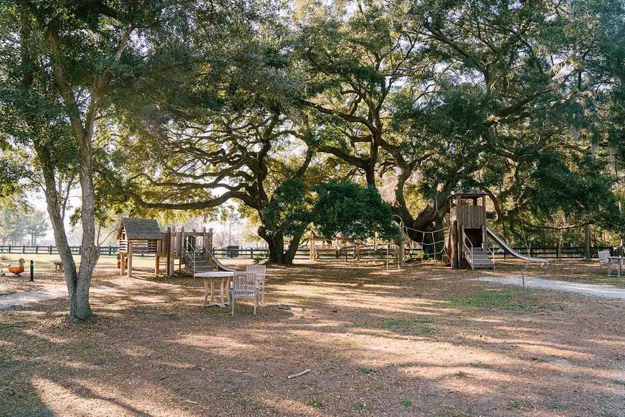 Natural landscape and outdoor views near  in Johns Island (Image 7).