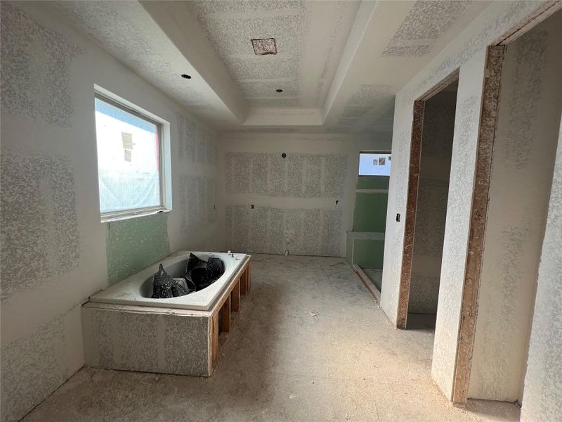 Owner's bath - still under construction! Owner's bath - still under construction!