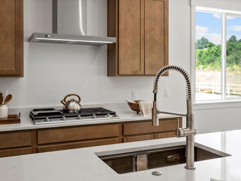 Image 24 representing the Reese by Lokal Homes in Jackson Creek, Monument, CO.