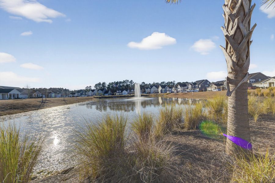 Natural landscape and outdoor views near Azalea Ridge at Summers Corner: Arbor Collection in Summerville (Image 44).