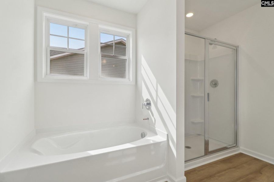 Image 38 of a home in Peachtree Hills.