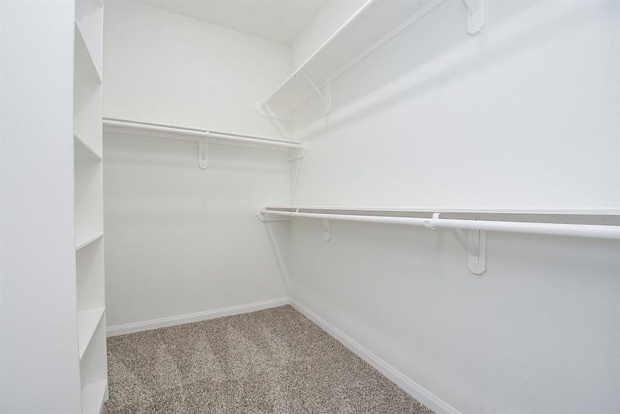 An Walk-in closet with white walls, built-in shelves, and hanging rods, featuring a carpeted floor.