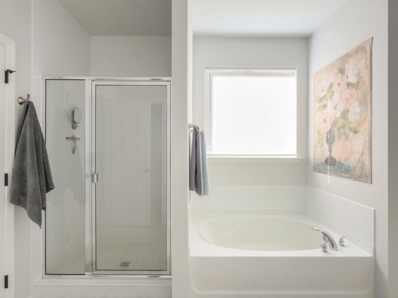 Furnished interior view inside a new home in , Summerville (Image 24). Furnished interior view inside a new home in , Summerville (Image 24).