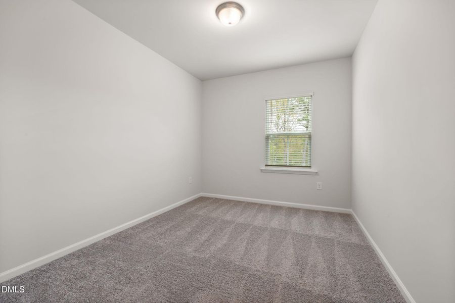 PRO HAMPTON LOT #77 PIC (14)