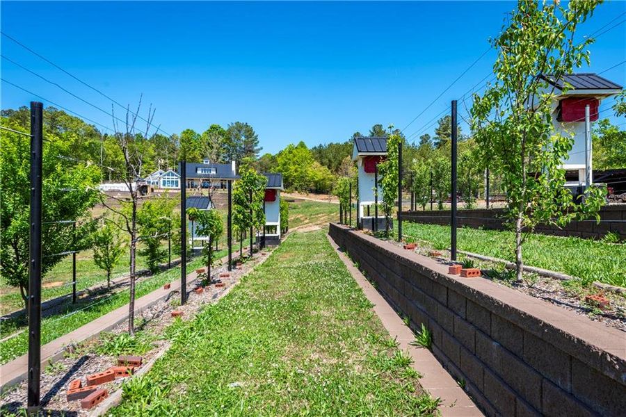 Community amenities in , Talking Rock (Image 38).