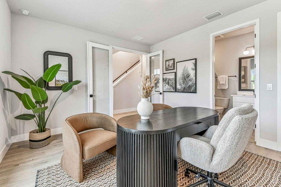 The Rainwater - Study