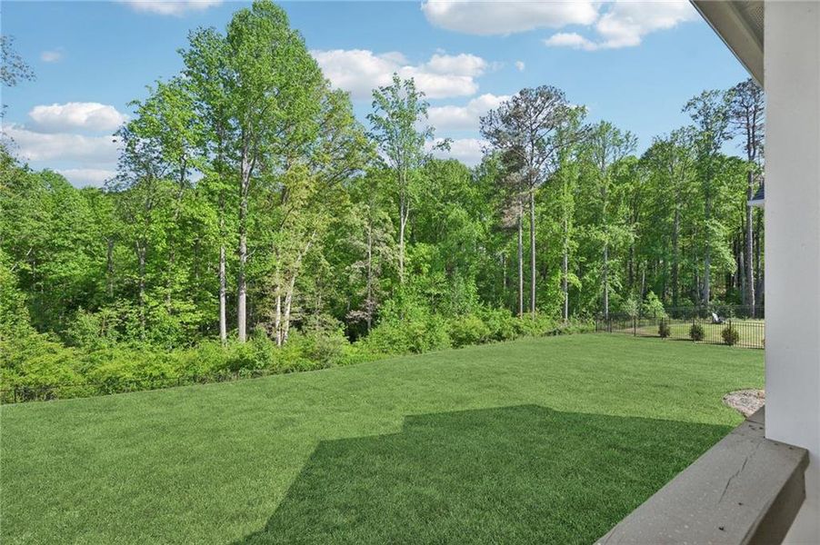 Exterior details and patio area of a home in Fireside Farms, Dawsonville (Image 32).