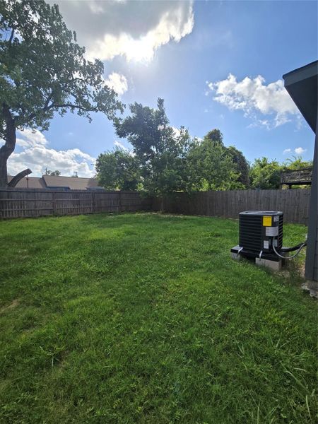 Large Backyard Large Backyard