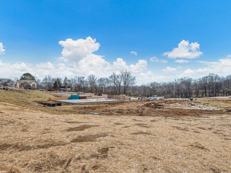 Site preparation for new homesites in Woods Crossing, Gallatin (Image 68).