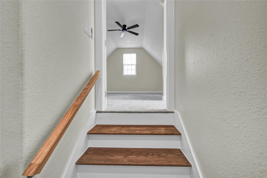 Stairs to secondary suite Stairs to secondary suite