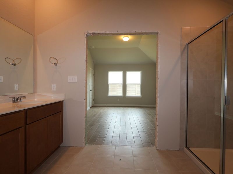 Owner's Bathroom